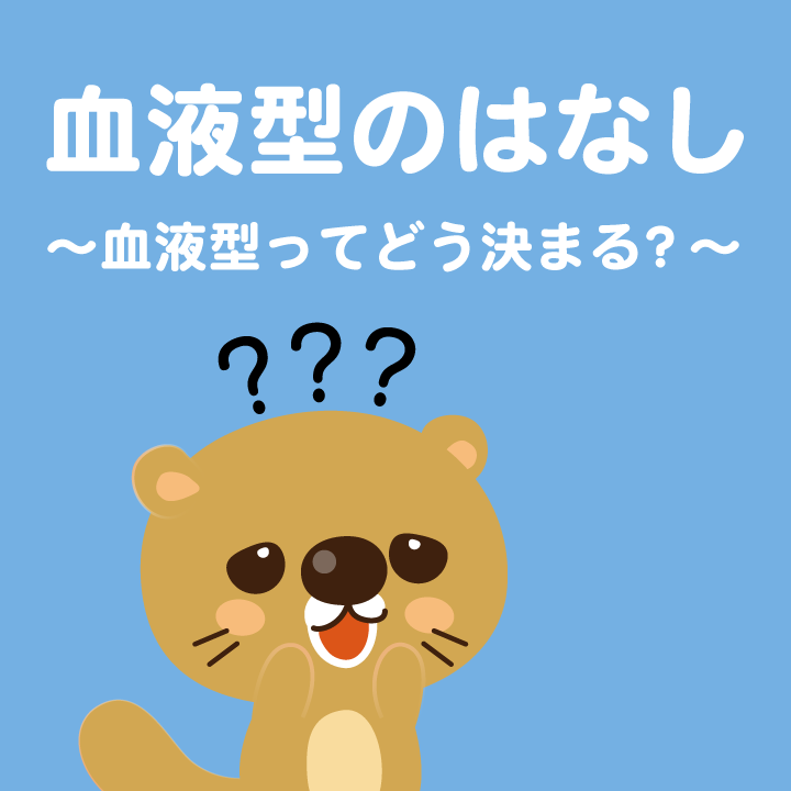 血液型のはなし 血液型ってどう決まる 学習内容解説ブログ